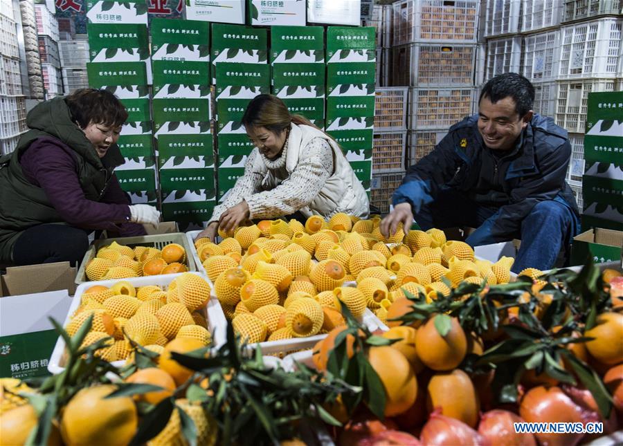 #CHINA-HUBEI-NAVEL ORANGE(CN)