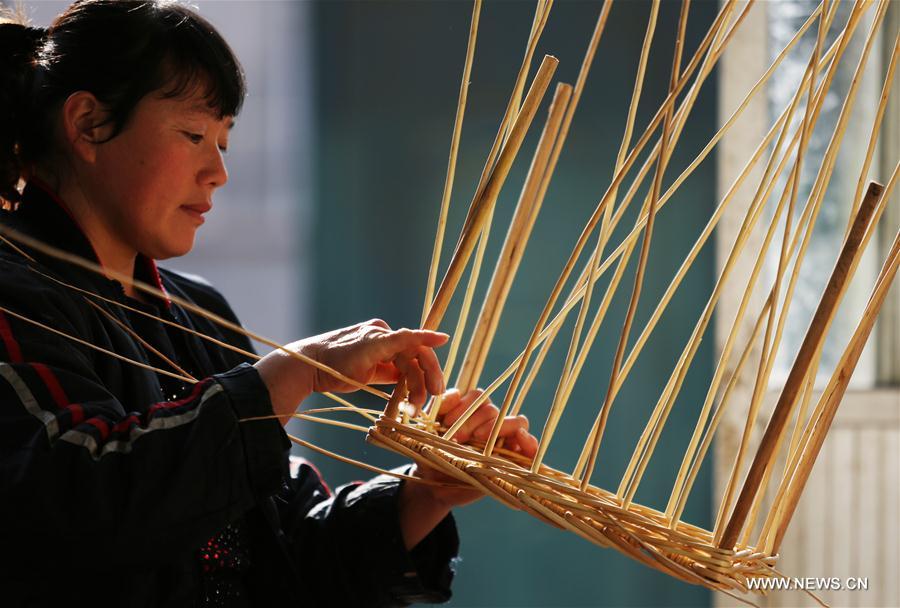 #CHINA-SHANDONG-TANCHENG-WILLOW MAKING (CN)