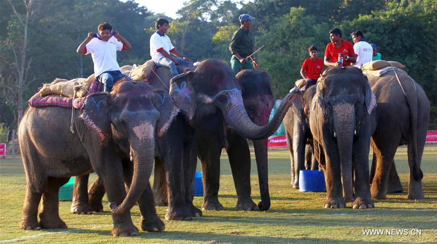 NEPAL-CHITWAN-14TH ELEPHANT FESTIVAL