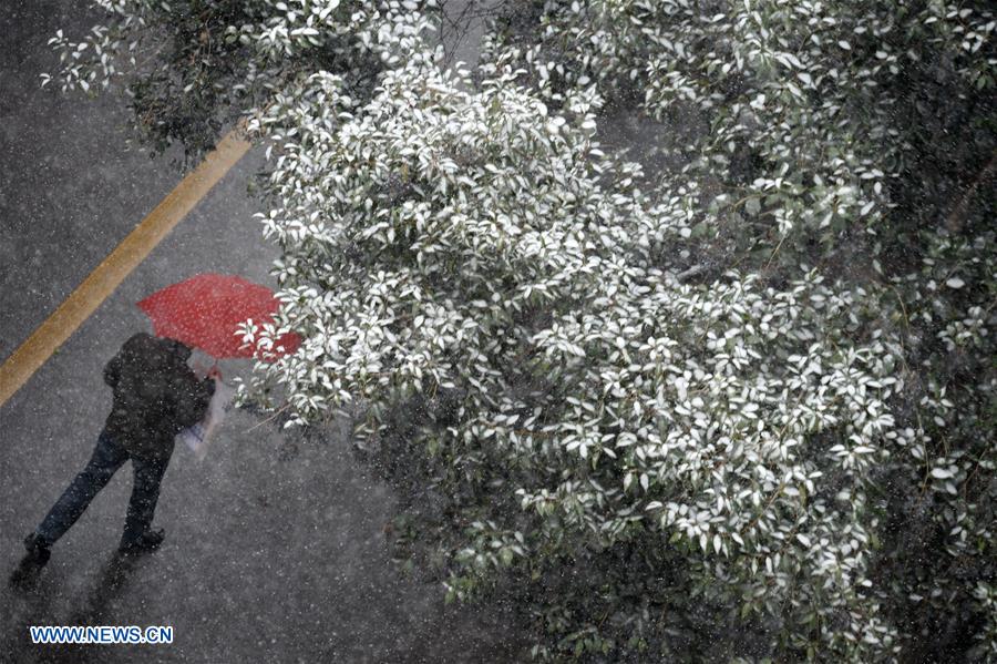 CHINA-SHAANXI-XI'AN-SNOWFALL(CN)