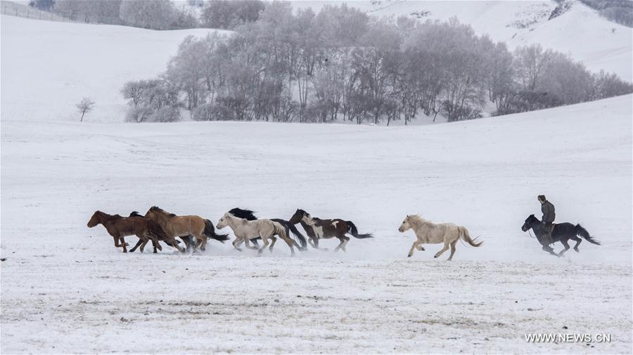 #CHINA-INNER MONGOLIA-WINTER TOURISIM (CN)