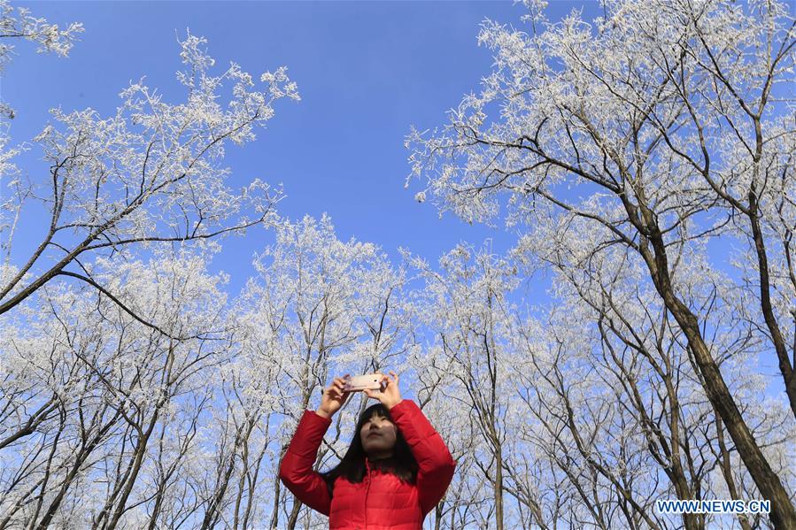 #CHINA-JINAN-RIME SCENERY (CN)