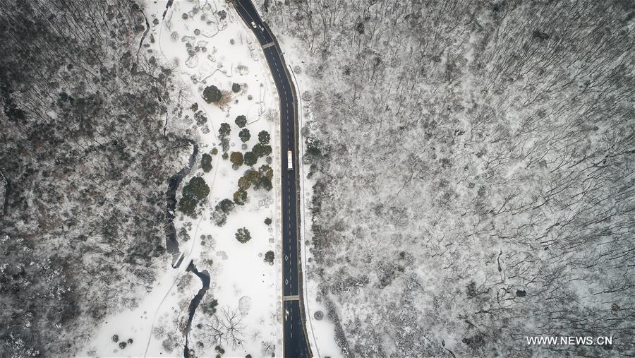 CHINA-NANJING-SNOWFALL (CN)