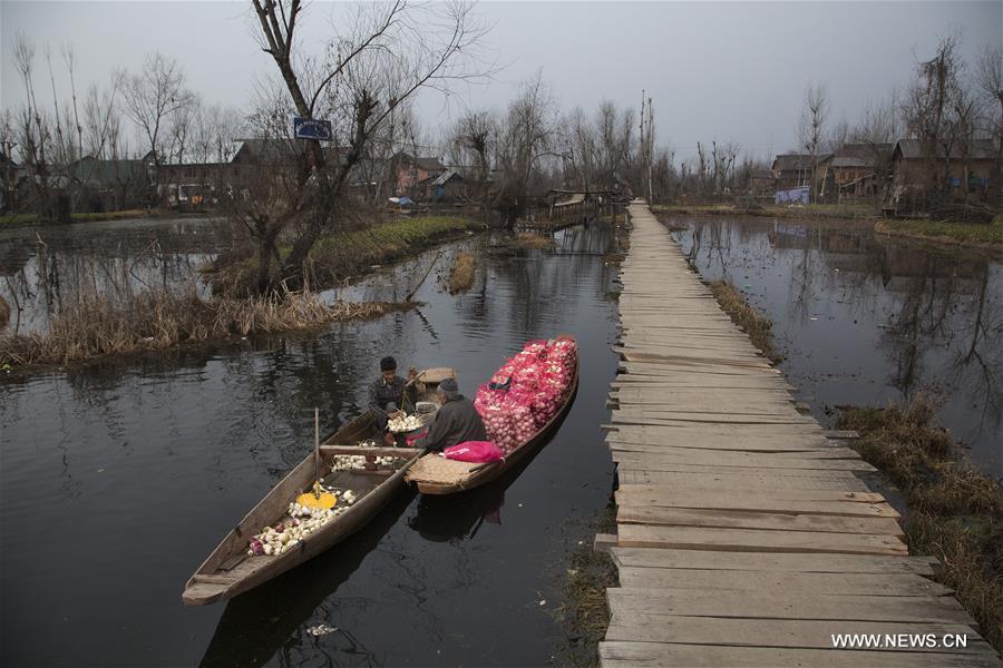 KASHIMIR-SRINAGAR-COLD WEATHER