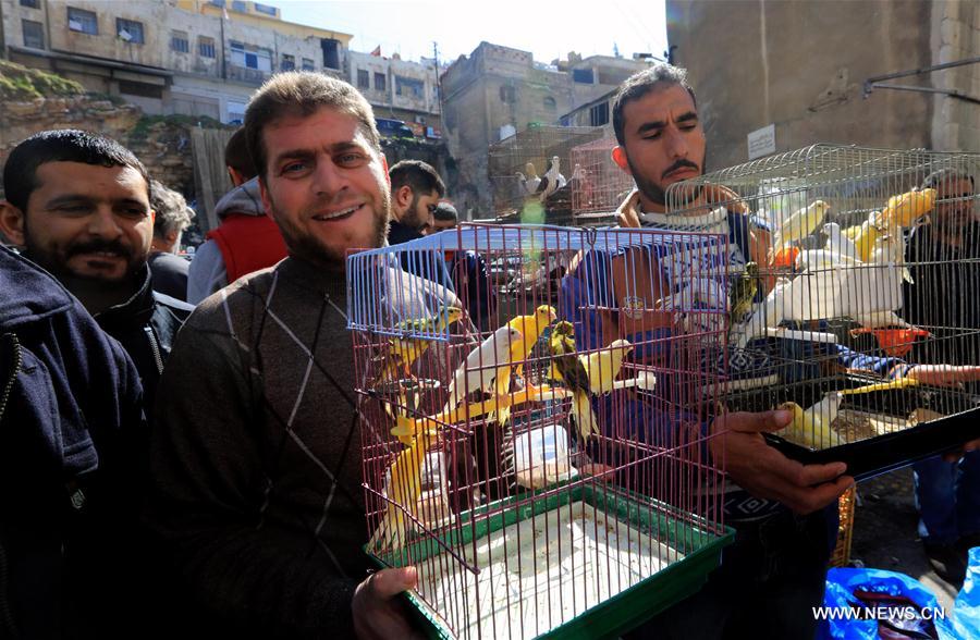 JORDAN-AMMAN-WEEKEND-BIRD-MARKET