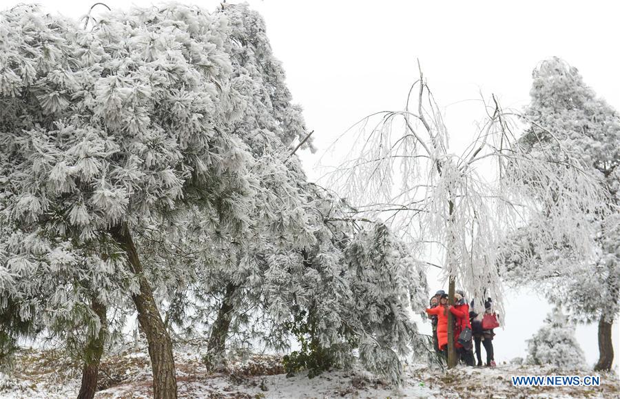 #CHINA-GUIYANG-FROST SCENERY (CN)