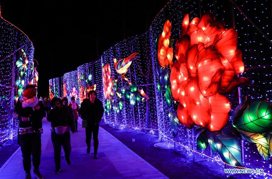 CHINA-BEIJING-SPRING FESTIVAL-LANTERN FAIR (CN)