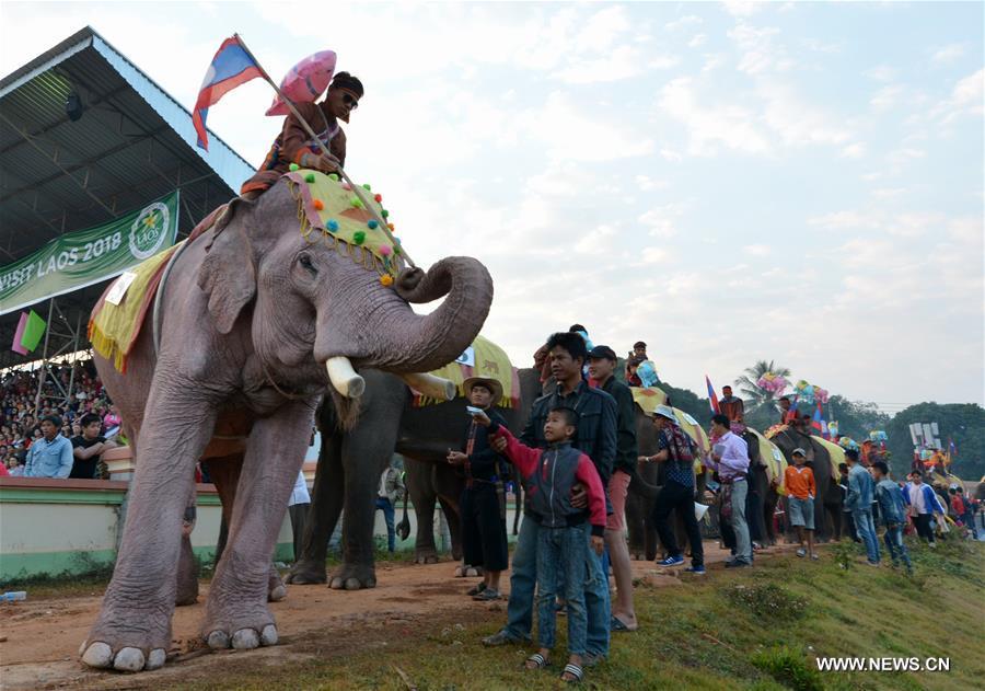 LAOS-SAYABULY-ELEPHANT FESTIVAL