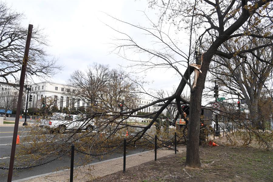 U.S.-WASHINGTON D.C.-WINDSTORM