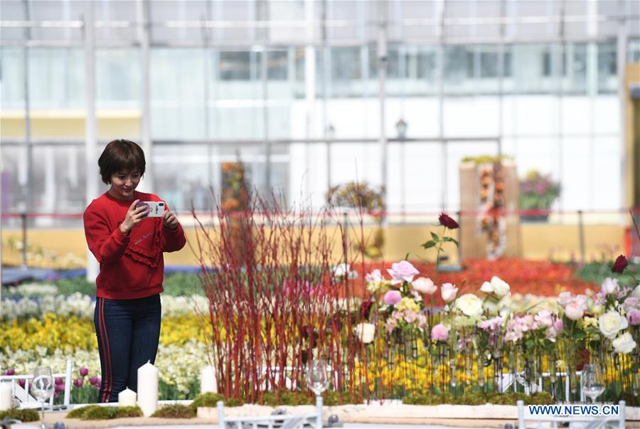 CHINA-CHONGQING-NETHERLANDS-FLOWER-SHOW (CN)