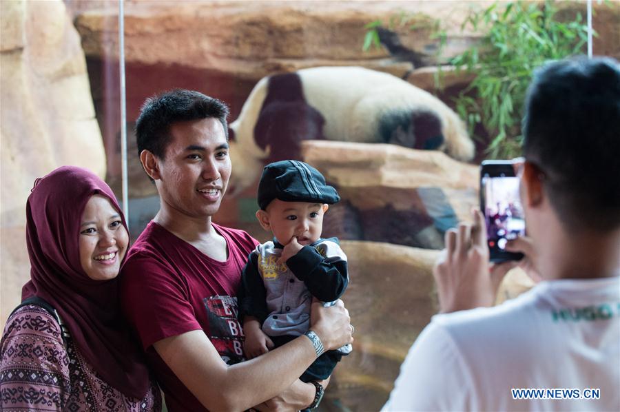 INDONESIA-BOGOR-GIANT PANDA