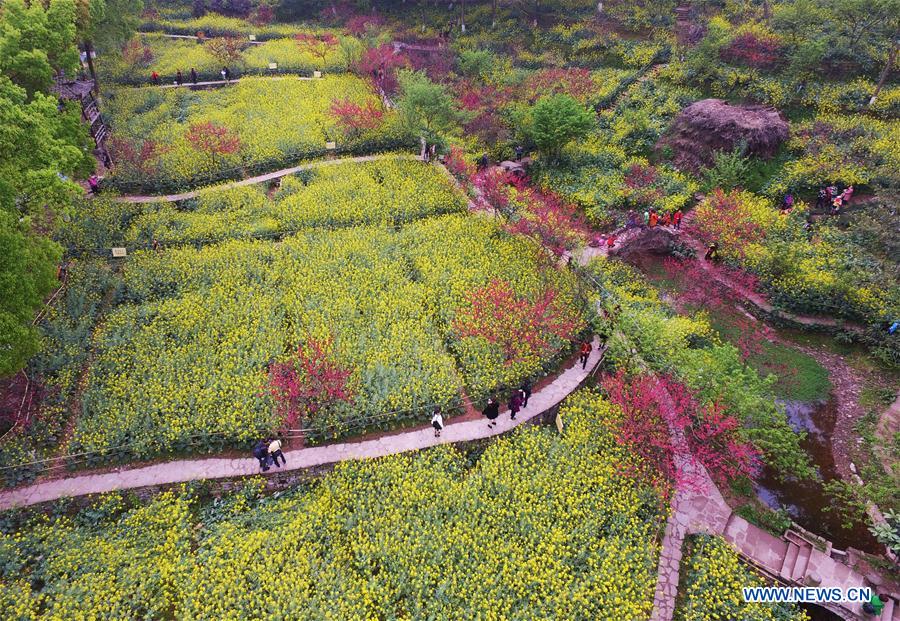 CHINA-CHONGQING-SPRING (CN)