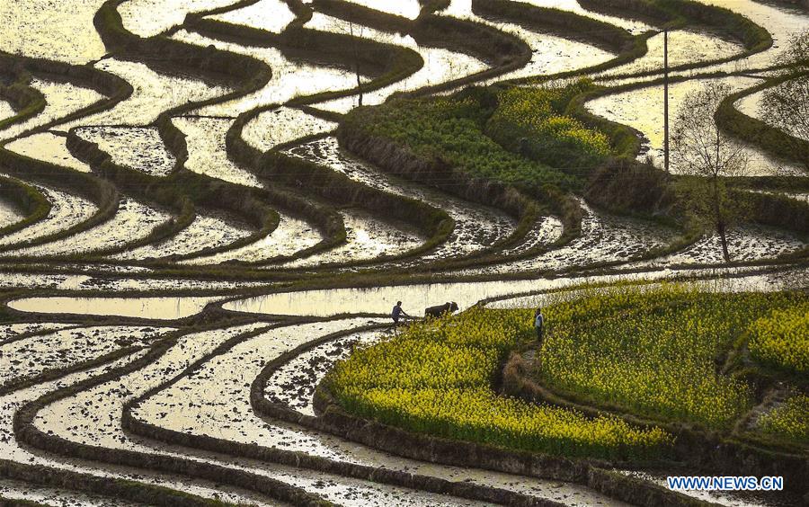 CHINA-SHAANXI-FENGYAN TERRACES-ANCIENT FARMING CULTURE (CN)