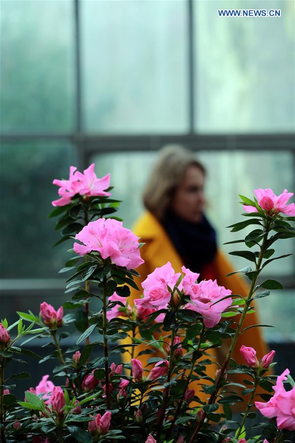 GERMANY-FRANKFURT-FLOWER EXHIBITION