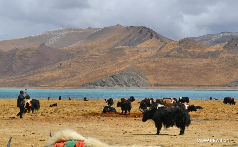 CHINA-TIBET-YAMDROK LAKE-SCENERY(CN)