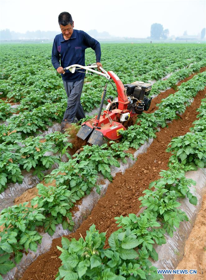 #CHINA-INTERNATIONAL WORKERS' DAY-WORKERS (CN)