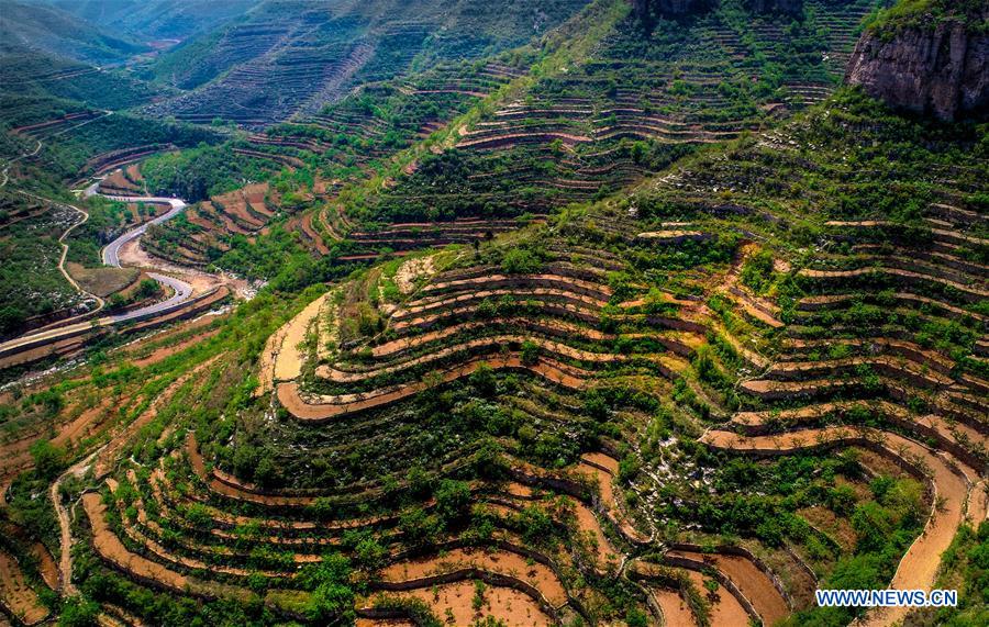 CHINA-HEBEI-TERRACED FIELDS (CN)