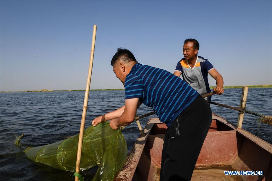 CHINA-INNER MONGOLIA-BAYAN NUR-BIRDS-PROTECTION(CN)