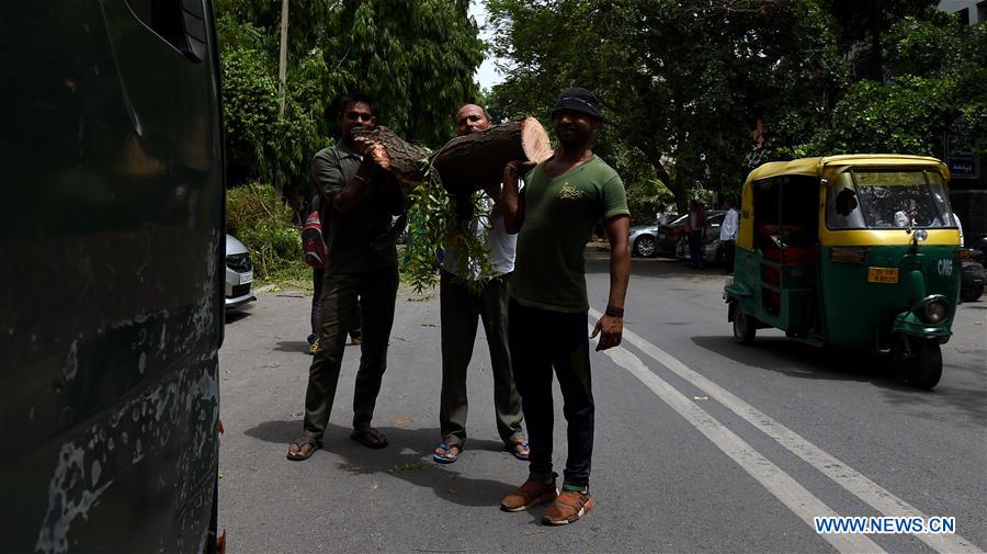 INDIA-NEW DELHI-STORM