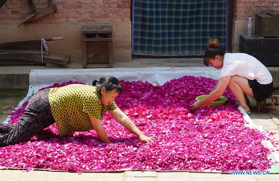 CHINA-XI'AN-EDIBLE ROSE (CN)