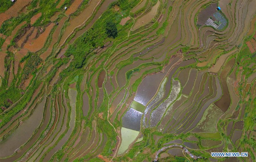 CHINA-GUANGXI-RONGSHUI-TERRACE FIELDS (CN)