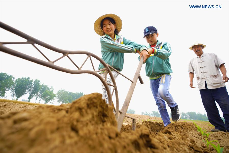 CHINA-TANGSHAN-CHILDREN-FARMING (CN)