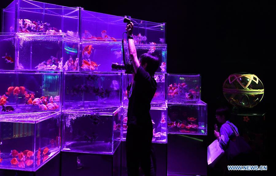 JAPAN-TOKYO-ART AQUARIUM-EXHIBITION