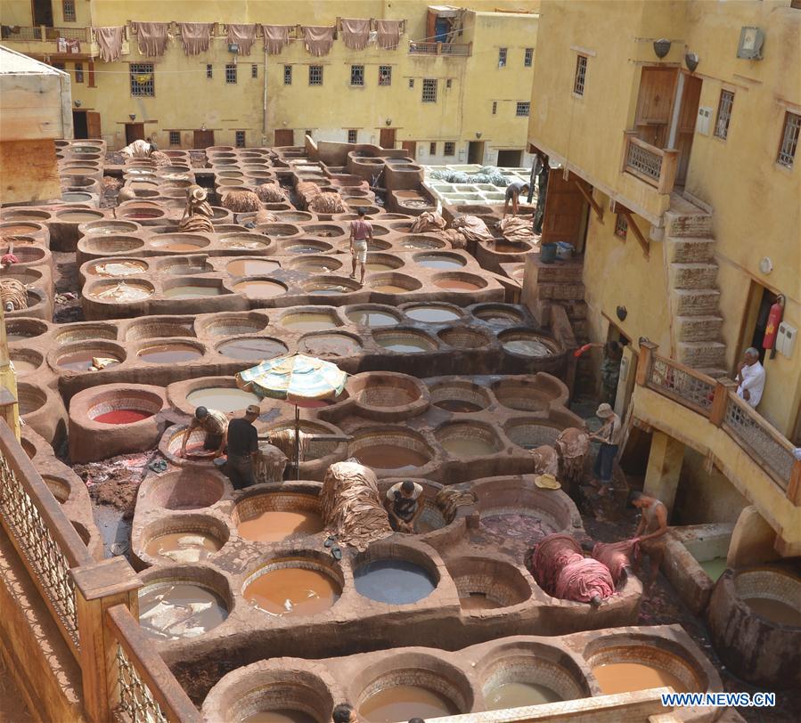 MOROCCO-FEZ-CHAOUWARA TANNERY