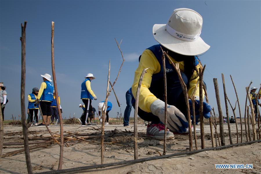 CHINA-INNER MONGOLIA-COLLEGE VOLUNTEER-DESERT CONTROL (CN)