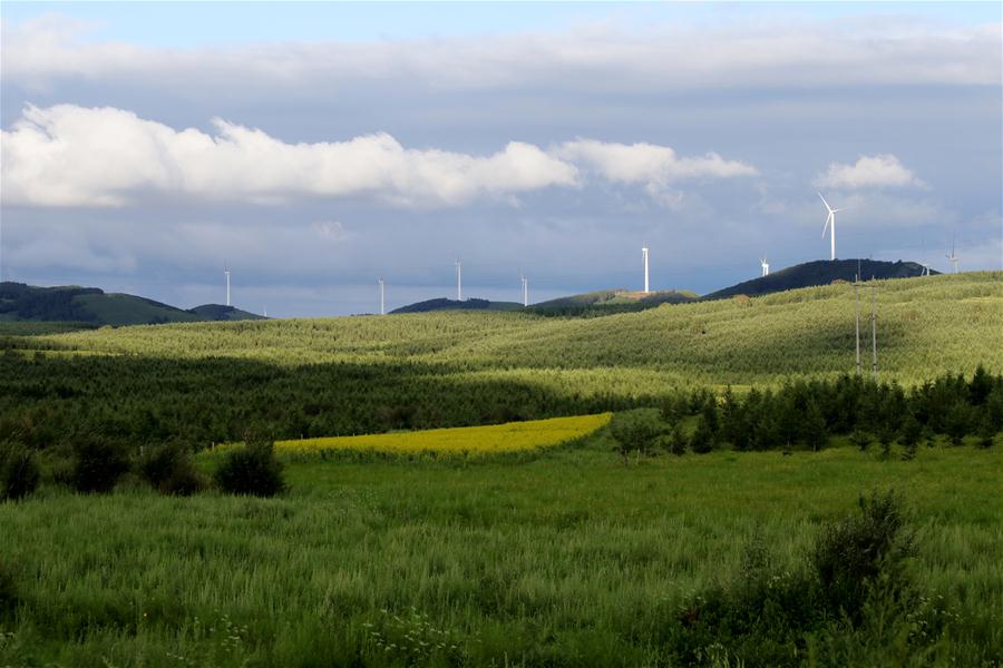 #CHINA-HEBEI-SAIHANBA-AFFORESTATION (CN)