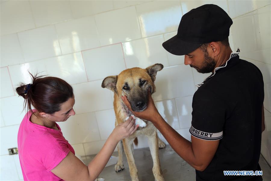 EGYPT-GIZA-DOG SHELTER