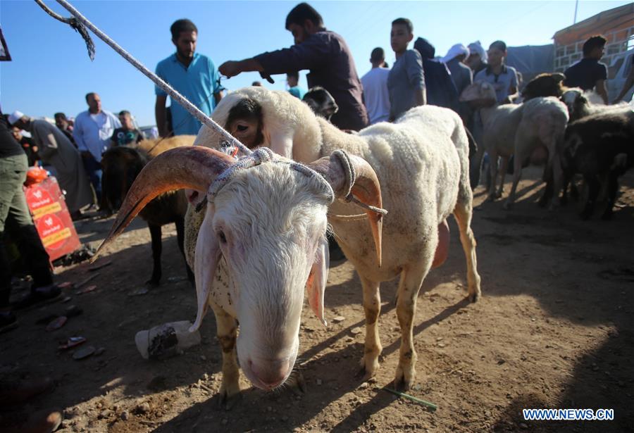 MIDEAST-NABLUS-EID AL-ADHA-LIVESTOCK MARKET