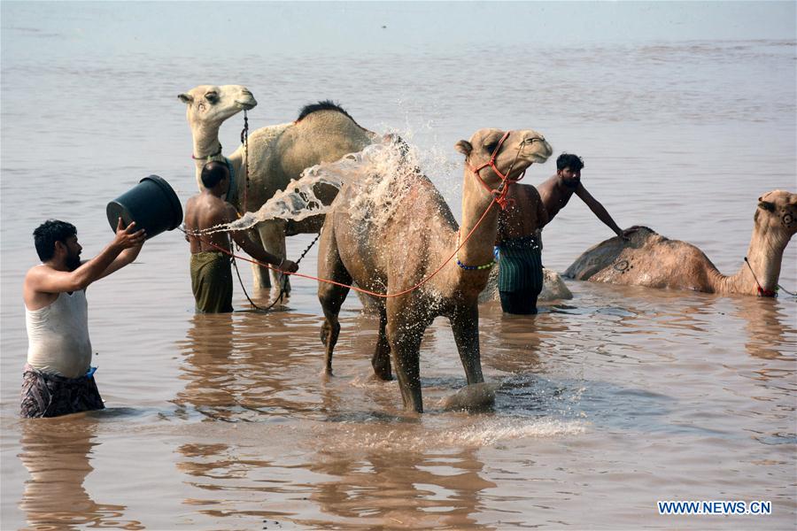 PAKISTAN-LAHORE-EID AL-ADHA