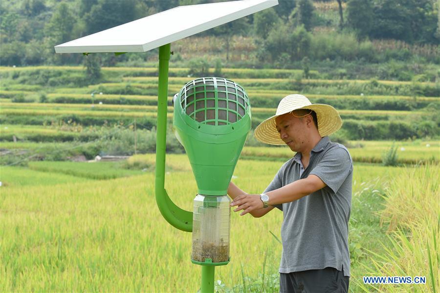 #CHINA-GUIZHOU-YUQING-FARMER-CHEN GANG (CN)