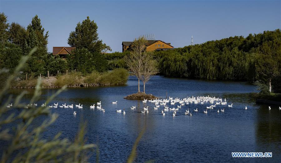 CHINA-GANSU-HEIHE RIVER-WETLAND (CN)