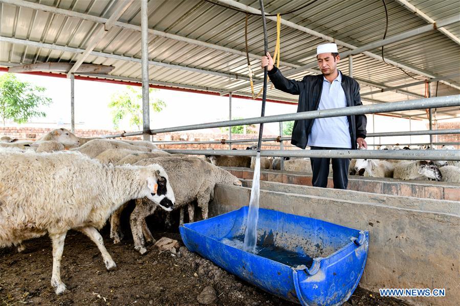 CHINA-NINGXIA-HANJIAOSHUI-WATER SUPPLIES (CN) 