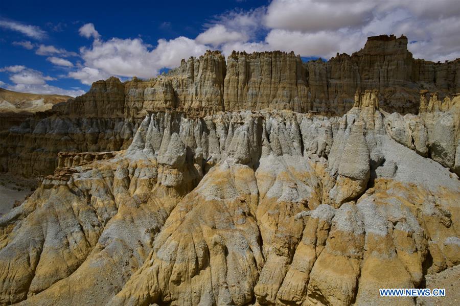 CHINA-TIBET-ALI-SCENERY-EARTH FOREST (CN)