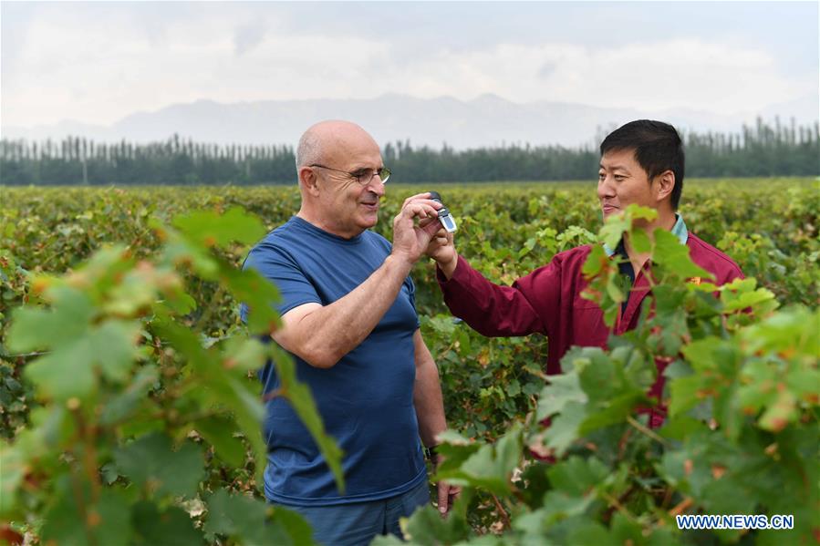 CHINA-NINGXIA-WINE INDUSTRY (CN)