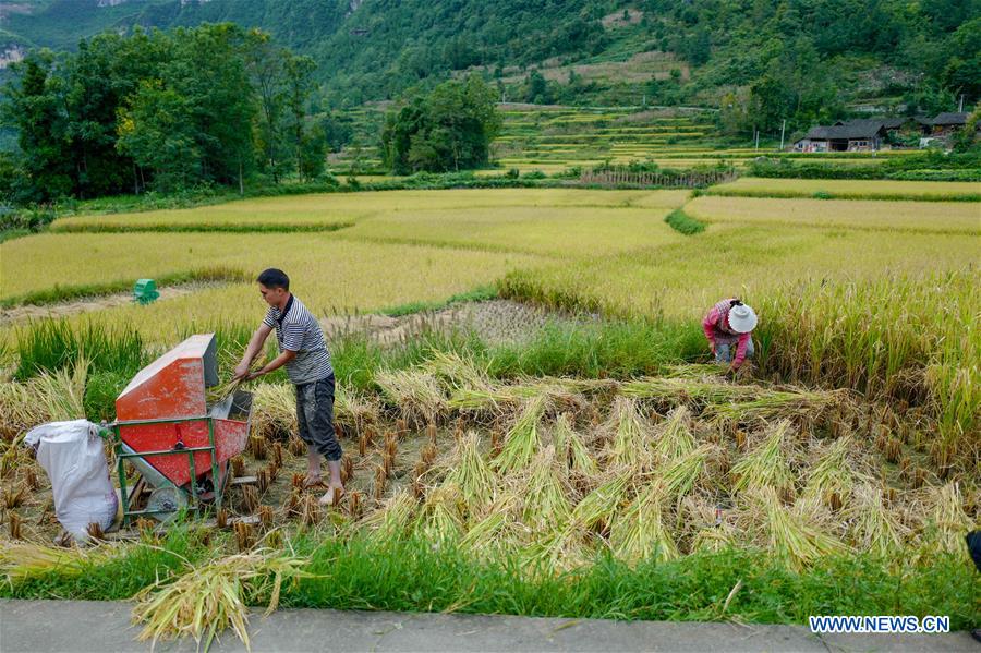 CHINA-CHONGQING-FARMWORK-TOURISM (CN)