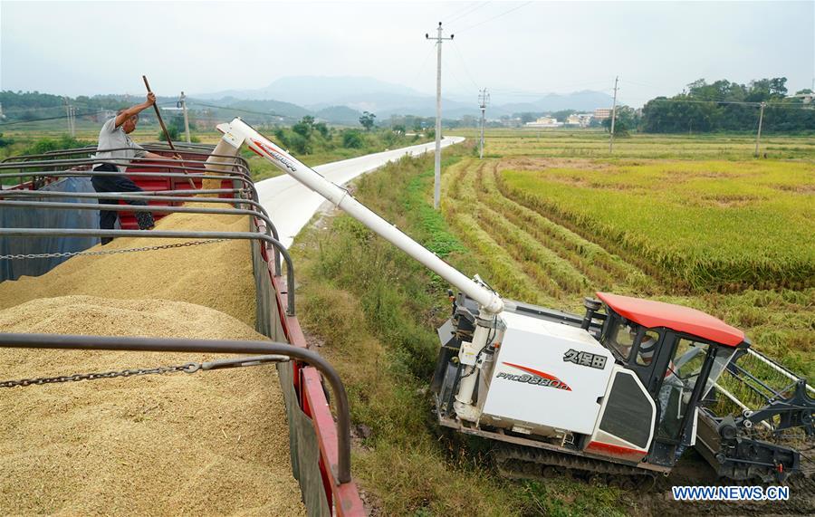 CHINA-JIANGXI-YUDU-HARVEST (CN)