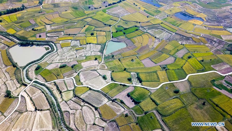 CHINA-ANHUI-XIAOGANG VILLAGE-AERIAL VIEW (CN)