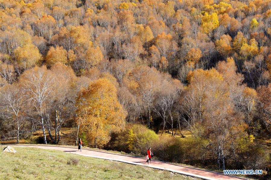 #CHINA-INNER MONGOLIA-SCENERY (CN)