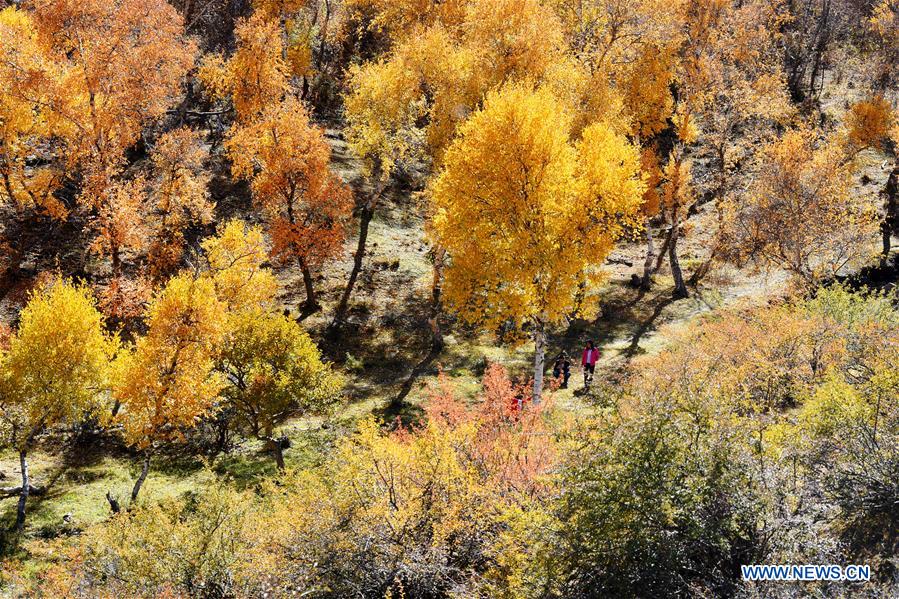 #CHINA-INNER MONGOLIA-SCENERY (CN)