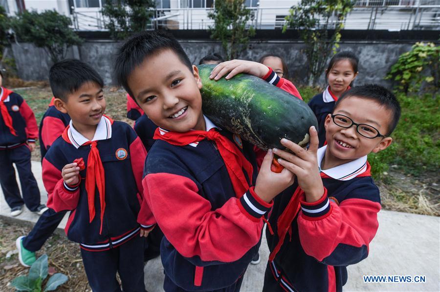 CHINA-ZHEJIANG-HUZHOU-CAMPUS PLANTATION-HARVEST(CN)