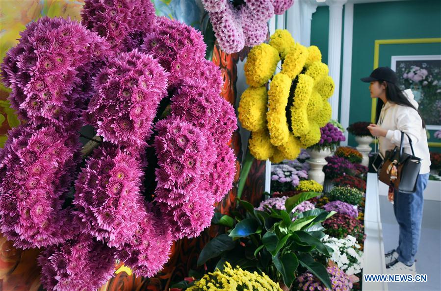 CHINA-HENAN-KAIFENG-CHRYSANTHEMUM (CN)