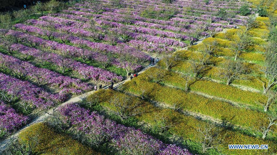 CHINA-JIANGSU-FLOWER-LEASURE (CN)