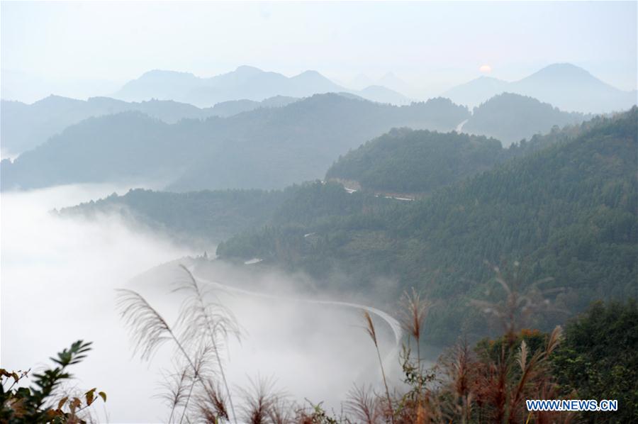 CHINA-GUIZHOU-TONGREN-ADVECTION FOG (CN)