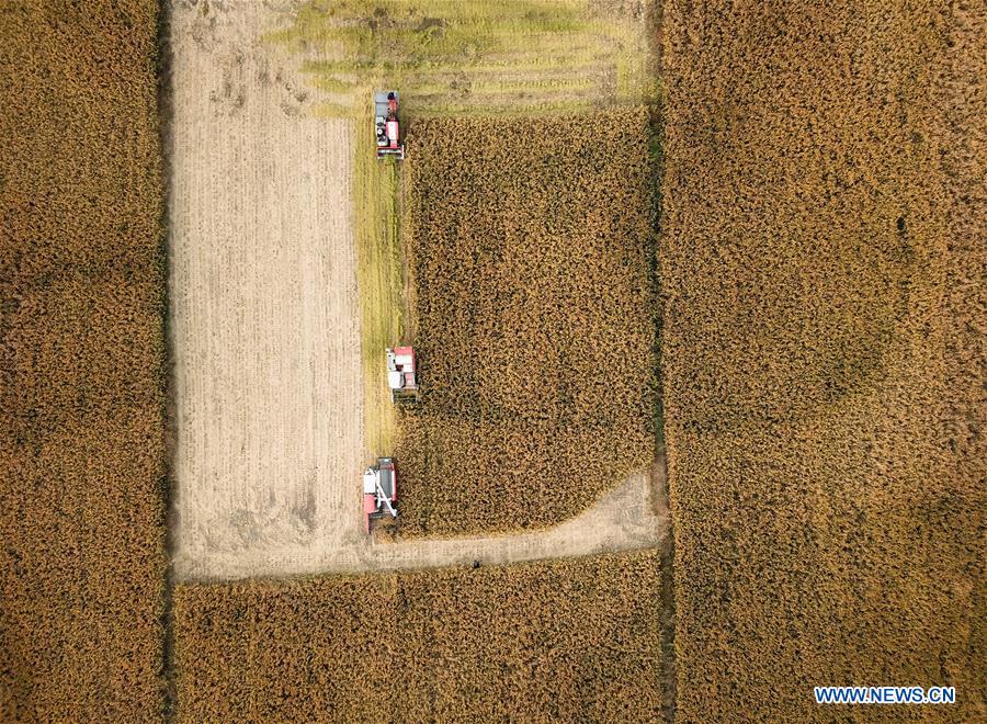 CHINA-ZHEJIANG-HUZHOU-RECYCLING AGRICULTURE (CN)