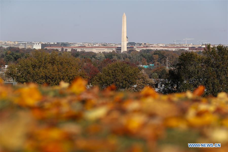 U.S.-WASHINGTON D.C.-FALL FOLIAGE