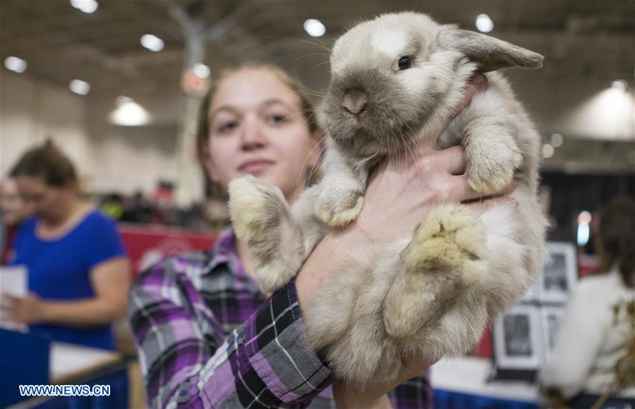 CANADA-TORONTO-ROYAL AGRICULTURAL WINTER FAIR